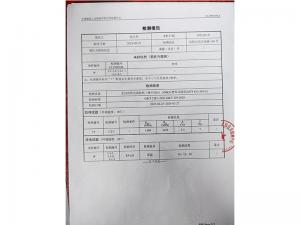 檢測報告