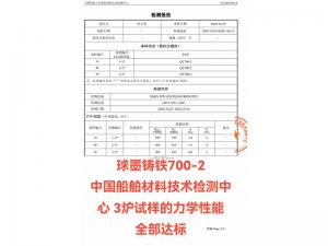 檢測報告